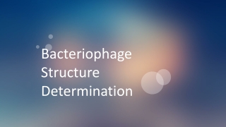 Bacteriophage Structure Determination
