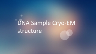 DNA Sample Cryo-EM structure