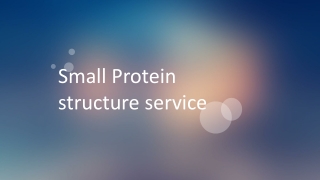 Small Protein structure service