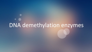 DNA demethylation enzymes