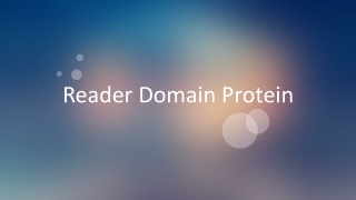Reader Domain Protein
