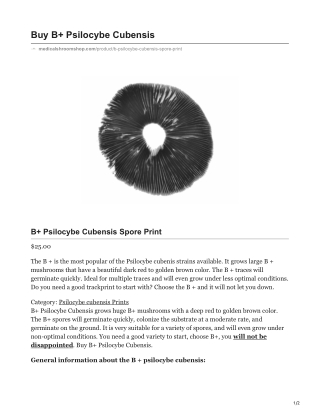 B  Psilocybe Cubensis Spore Print