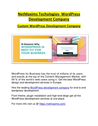 NetMaxims Tech | WordPress Development Comapny | Custom WordPress Development