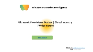 Global Ultrasonic Flow Meter Market  Industry | Whipsmartmi