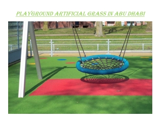 Playground Grass in Abu Dubai