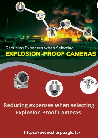 Reducing expenses when selecting Explosion Proof Cameras  (1)