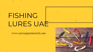 FISHING LURES UAE