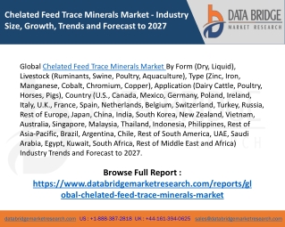 Global Chelated Feed Trace Minerals Market – Industry Trends and Forecast to 202
