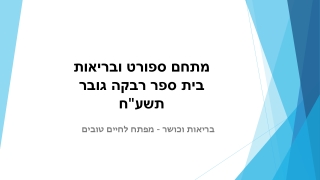 רעיון להקמת פארק מחומרים ממוחזרים בבית הספר