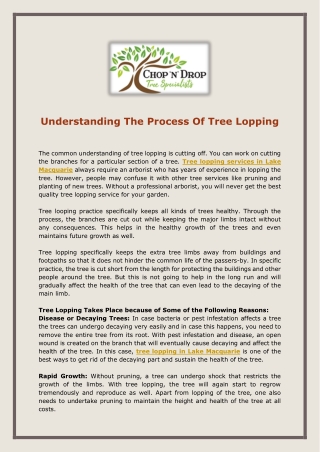 Understanding The Process Of Tree Lopping