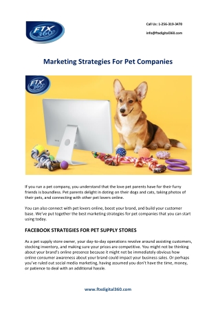 Best Marketing Strategies For Pet Companies