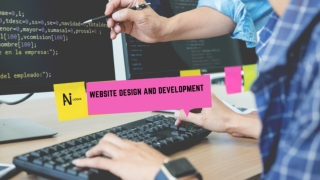 website Design and Development