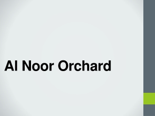 Al Noor Orchard