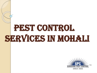 Pest Control Services in Mohali