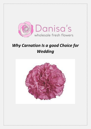 Why Carnation Is a good Choice for Wedding