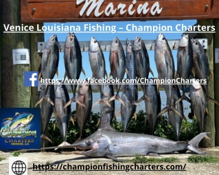 Venice Fishing Charters- Champion Charters