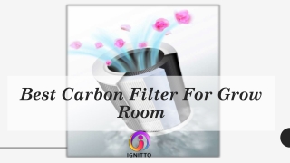Best Carbon Filter For Grow Room