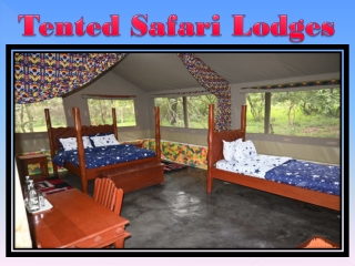 Tented Safari Lodges