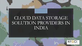 Cloud Data Storage Solution companies in India