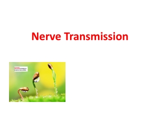 Nervetransmission