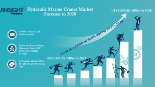 Hydraulic Marine Cranes Market Trends Estimates High Demand By 2028