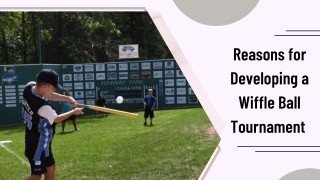 Reasons for Developing a Wiffle Ball Tournament