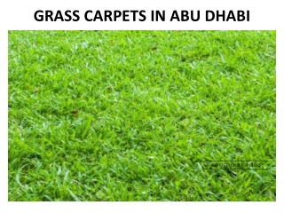 GRASS CARPETS IN ABU DHABI