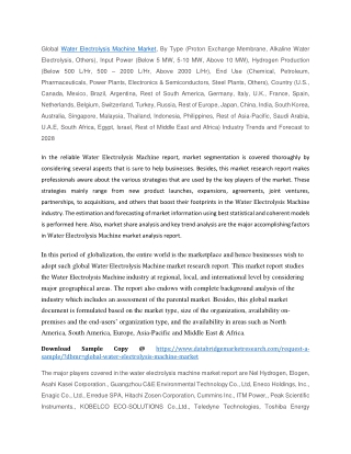 Water Electrolysis Machine Market
