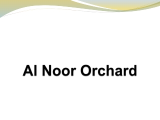 Al Noor Orchard