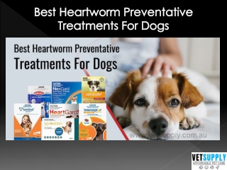 Best Heartworm Preventative Treatments For Dogs | Heartworms in Dogs