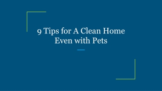 9 Tips for A Clean Home Even with Pets