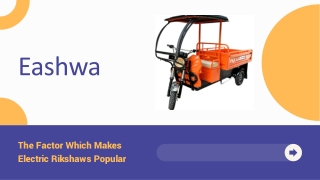 The Factor Which Makes Electric Rikshaws Popular