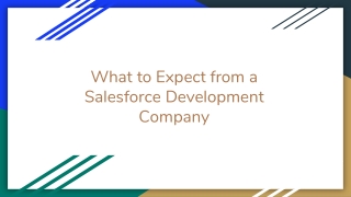 What to Expect from a Salesforce Development Company