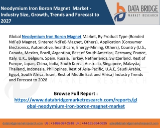 Neodymium Iron Boron Magnet Market – Industry Trends and Forecast to 2028