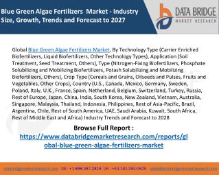 Global Blue Green Algae Fertilizers Market – Industry Trends and Forecast to 202