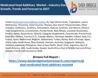 Medicated Feed Additives Market
