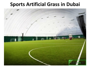 Sports Artificial Grass