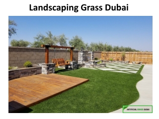 Landscaping Grass Dubai