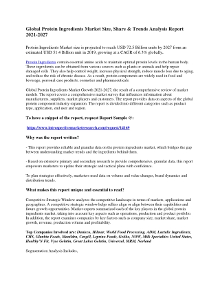 Global Protein Ingredients  Market