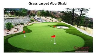 Grass carpet Abu Dhabi