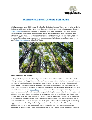 TREENEWAL’S BALD CYPRESS TREE GUIDE