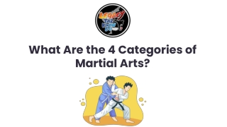 What Are the 4 Categories of Martial Arts?