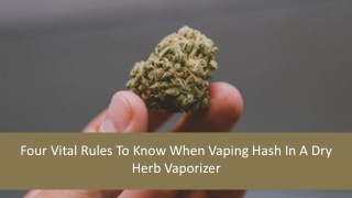 Four Vital Rules To Know When Vaping Hash In A Dry Herb Vaporizer