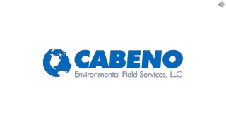 Get Radon Mitigation in Chicago at Cabeno Environmental Field Services LLC