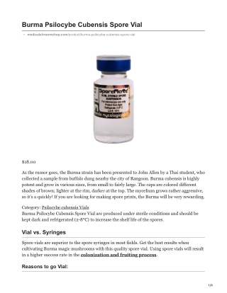 Burma Psilocybe Cubensis Spore Vial