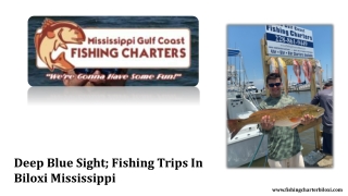 Fishing Trips In Biloxi Mississippi