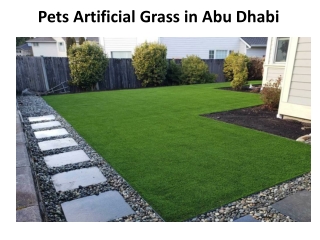 Pets Artificial Grass in Dubai