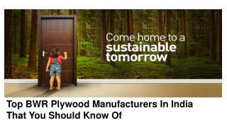 Top BWR Plywood Manufacturers In India That You Should Know Of