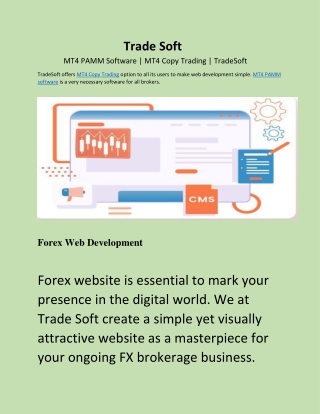 MT4 PAMM Software | MT4 Copy Trading | TradeSoft