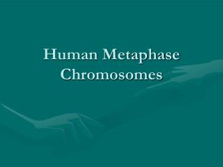 Human Metaphase Chromosomes